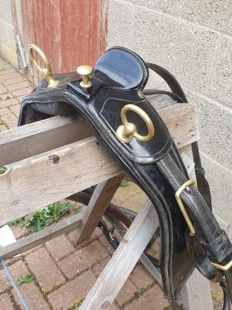 Image 2 of English leather black patent harness