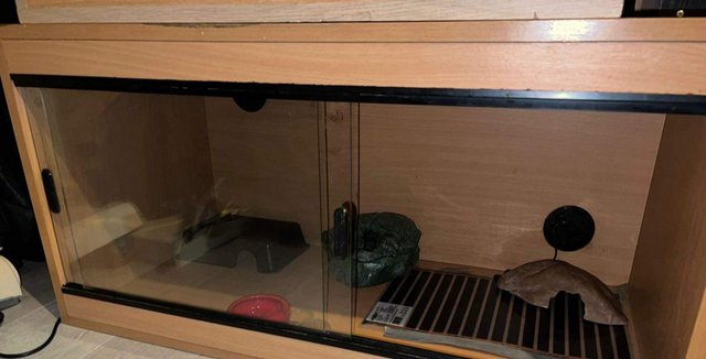 Image 3 of reptile vivarium large collection only