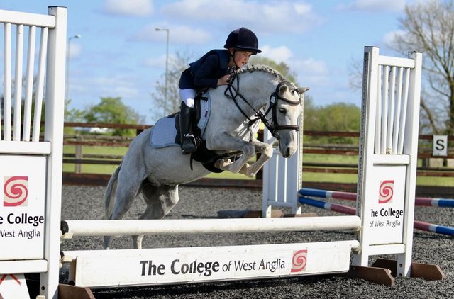 Image 3 of Topper 11.2hh first pony