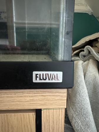 Image 4 of 200lt fluval fish tank and stand