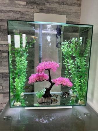 Image 1 of Global 46 litre great condition fish tank with fish
