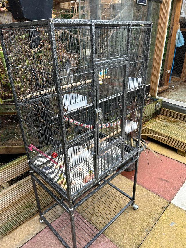 Preview of the first image of Flight cage for finches or parakeets.