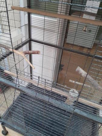 Image 6 of Very large bird cage for sale. REDUCED