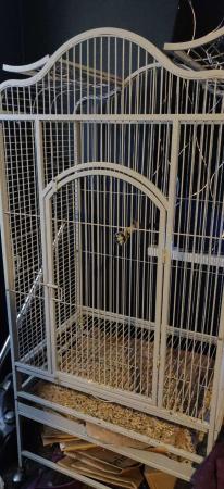 Image 4 of Large Parrot Cage ¦ Montana