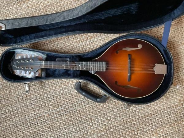 Image 3 of Pava professional mandolin