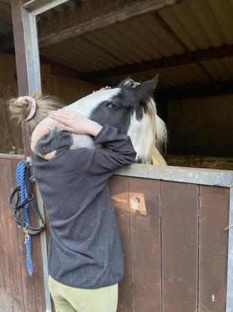 Image 7 of CONFIDENT NOVICE / MOTHER/DAUGHTER SHARE / ALLROUNDER