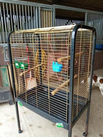 Image 2 of Parrot cage suitable for Amazon / African Grey or similar