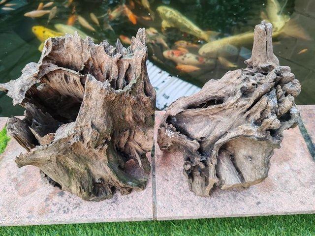 Preview of the first image of FOR FISH TANK 2 MASSIVE CHUNKS OF BOGWOOD.