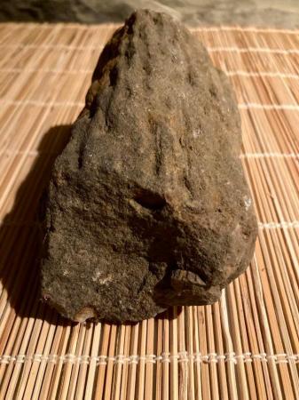 Image 3 of Stigmaria tree root fossil (Yorkshire)