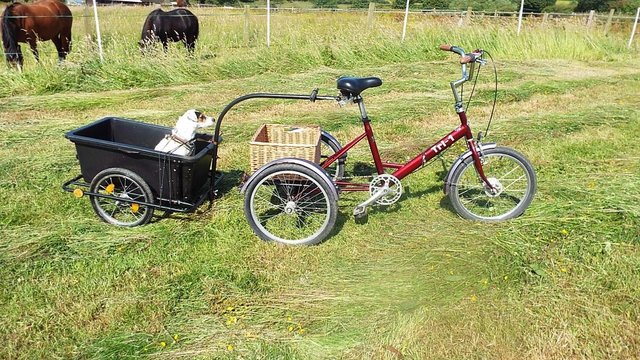 Image 1 of Pashley Tri Tricycle and Bike Trailer,Aduilt trike.