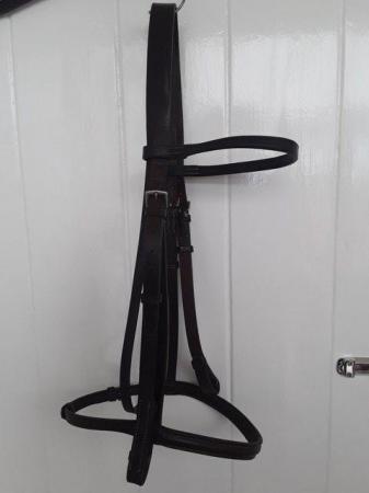 Image 1 of BROWN LEATHER COB BRIDLE WITH BROWBAND AND STITCHED NOSEBAND
