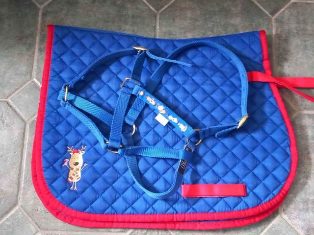 Preview of the first image of Full size Reindeer Saddle Pad and Headcollar in Blue and Red.