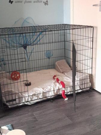 Image 3 of Extra Large dog crate,used once only
