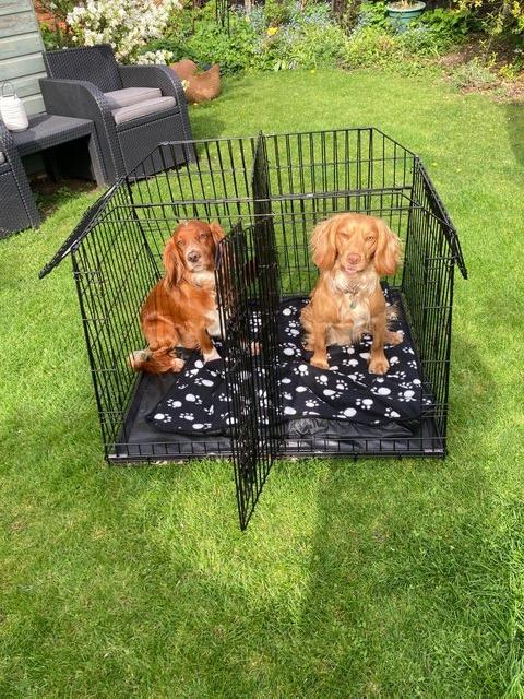 Preview of the first image of Dog cage for car  Pet World double/single for car.