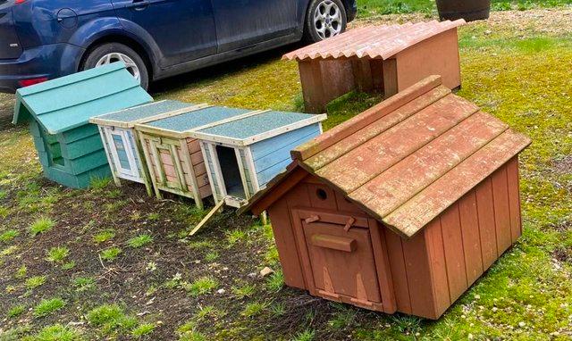 Image 7 of Boughton Chicken Ark & Various Duck Houses Price reduced
