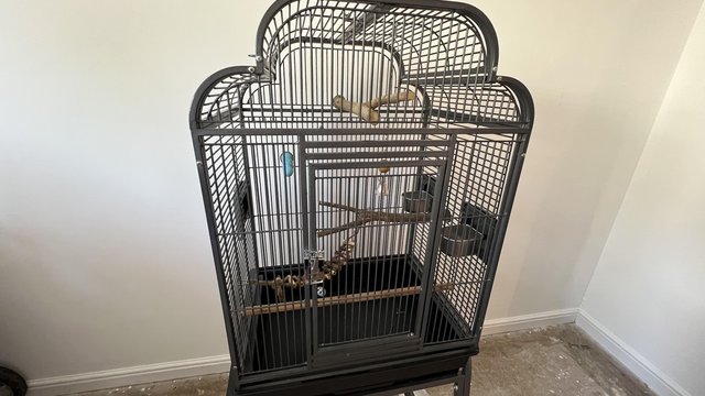 Preview of the first image of Parrot cage and toys/accessories.