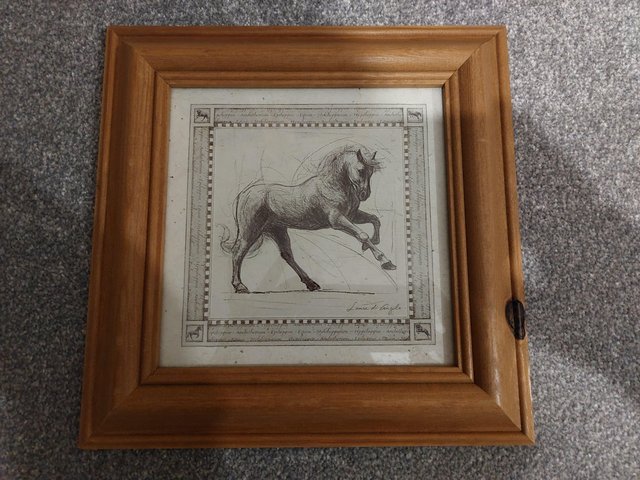 Preview of the first image of Framed print of a horse/equestrian by artist Laura Di Angelo.