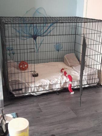 Image 5 of Extra Large dog crate,used once only