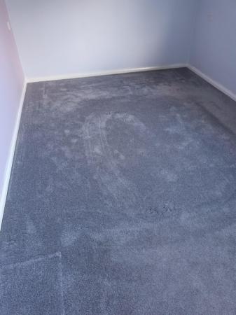 Image 2 of Beautiful Grey Carpet for sale