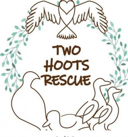 Image 1 of Two hoots rescue Worcestershire