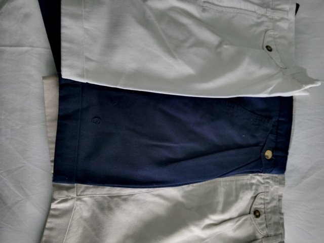 Preview of the first image of Men's Various Colour Tailored Shorts.