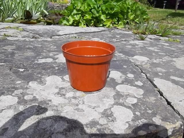 Preview of the first image of 3 1/2" Round Hard Plastic Growing Pots.