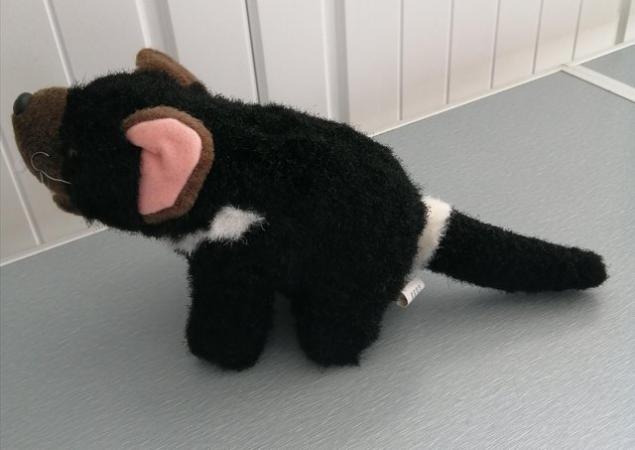 Image 5 of A Small "Tasmanian Devil" Soft Toy by Windmill Toys, Austral