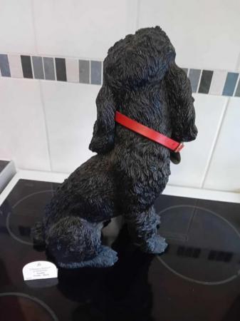 Image 1 of COUNTRY ARTIST ''Freddie Poodle'' 38cm Tall Ornament Collar