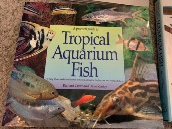 Image 3 of 3 Tropical Fish Books Hardback