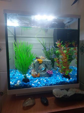 Image 5 of Free Interpet fish tank with aquaone cabinet and corations