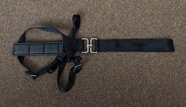 Image 4 of Dog Car Travel Harness In Black - Size S     BX15