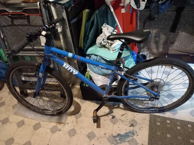Preview of the first image of Hoy Bonaly Bike, 20" wheels in blue.