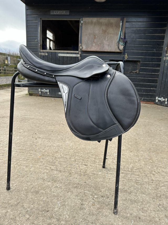 Preview of the first image of Equiline 18"  jump saddle Black  M/W Fully Adjustable.
