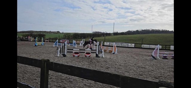 Image 9 of Superb 138 for sale, all round family pony