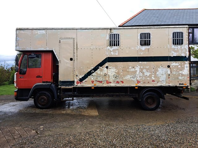 Preview of the first image of 7.5t MAN horsebox for sale.