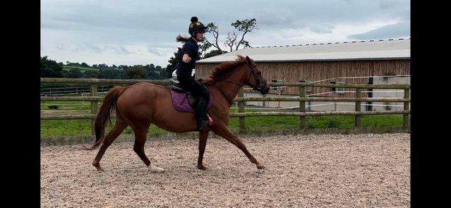 Image 4 of Stunning 6yr old 15,2hh Chestnut Mare
