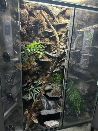 Image 4 of HUGE Full sized corner reptile terrarium / vivarium