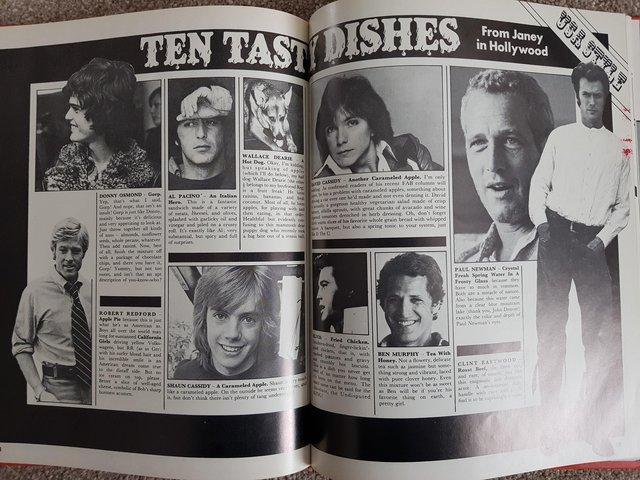 Preview of the first image of Fab 208 Annual 1977, hardback,.