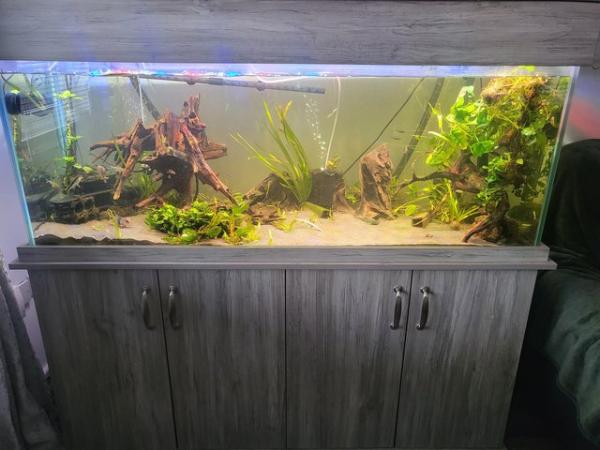 Image 3 of Fish Tank with Stand 5ft
