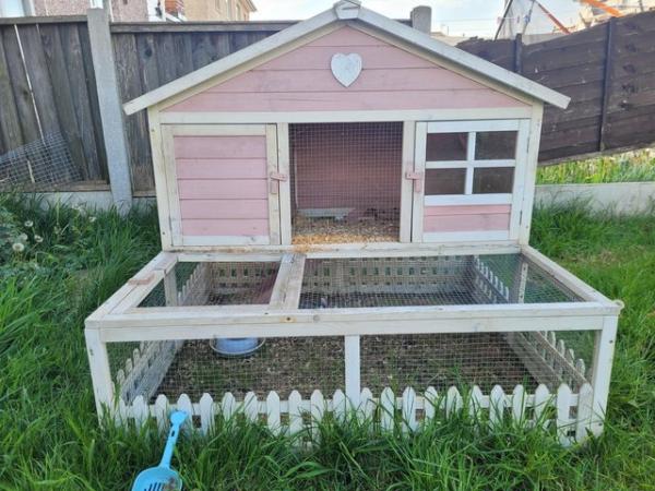 Image 7 of Full guinea pig set up including female pig outdoor cage and