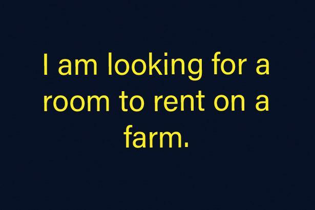 Preview of the first image of I am looking for a room or bungalow to rent on a farm..