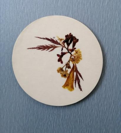Image 6 of 6 Handcrafted Wildflower Coasters.With Real Flowers