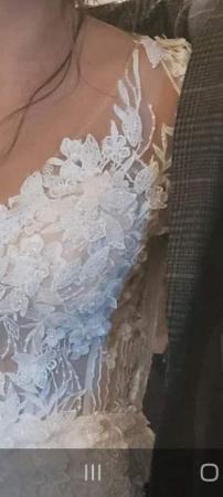 Image 5 of Pronovias Dione wedding dress