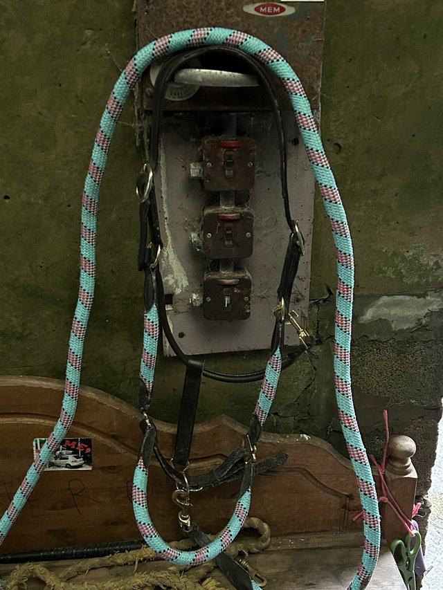 Preview of the first image of Soft leather and rope shire size anatomical headcollar.