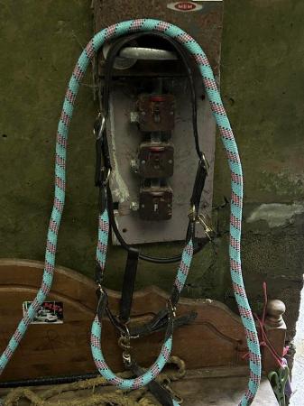 Image 1 of Soft leather and rope shire size anatomical headcollar