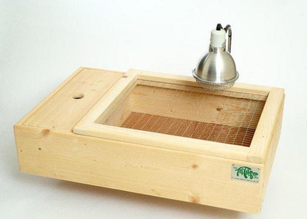 Image 3 of Tortoise Table Package, Large (No tortoise)