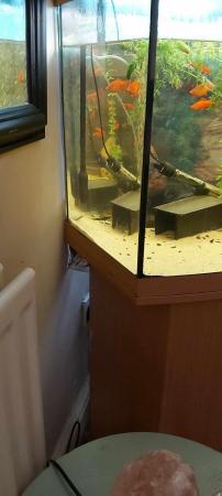 Image 2 of Jwel Rio 180l fish tank 150ono