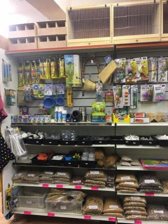 Image 14 of Warrington pets and exotics a fully stocked pet shop/store
