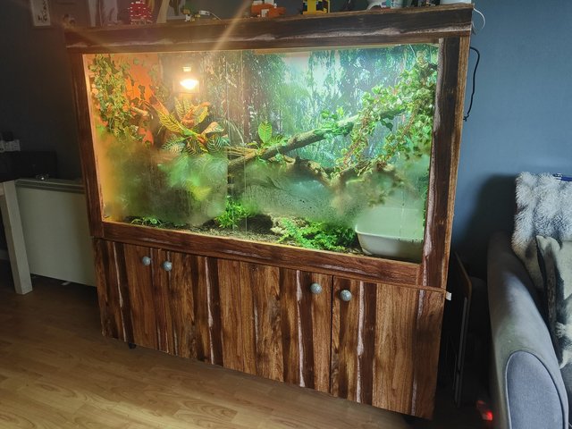 Preview of the first image of Large 5ft Vivarium currently housing Boas.