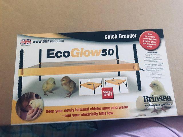 Preview of the first image of Chick Brooder Bran New Eco Glow 50 for sale in sealed boxes.